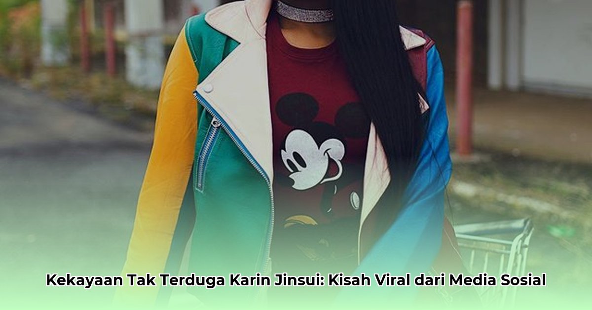 karin jinsui net worth